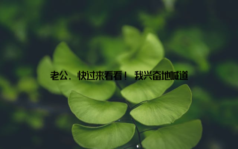 老公, 快过来看看! 我兴奋地喊道