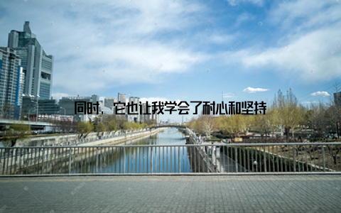 同时, 它也让我学会了耐心和坚持