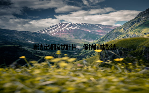 清洁定期擦拭叶片, 保持植株整洁