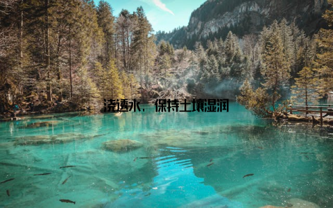 浇透水, 保持土壤湿润