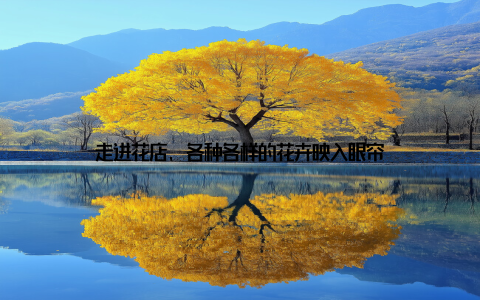 走进花店, 各种各样的花卉映入眼帘