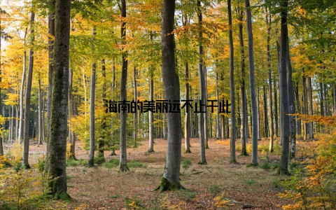 海南的美丽远不止于此