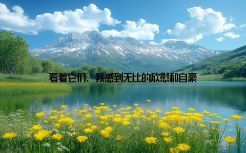 看着它们, 我感到无比的欣慰和自豪