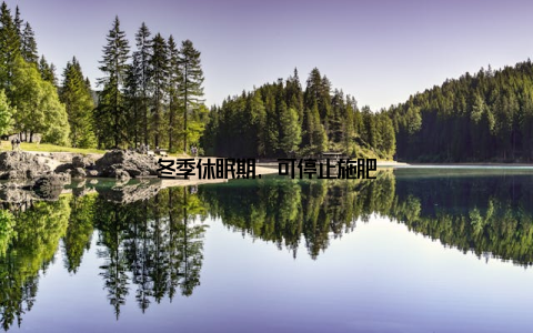 冬季休眠期, 可停止施肥