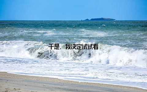 于是, 我决定试试看