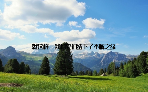 就这样, 我和它们结下了不解之缘