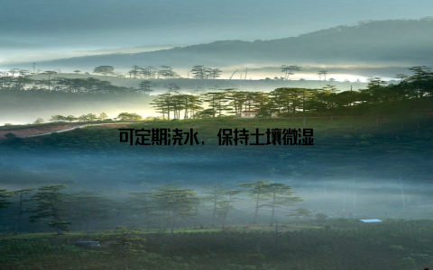 可定期浇水, 保持土壤微湿