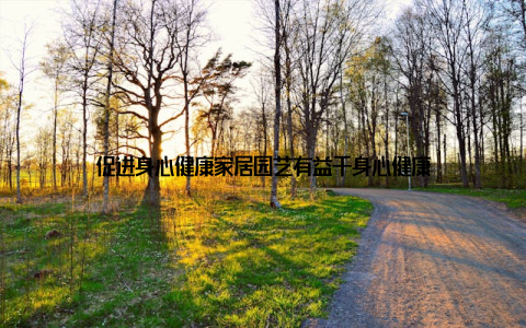 促进身心健康家居园艺有益于身心健康