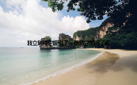 我立刻被它吸引了, 便将它带回了家
