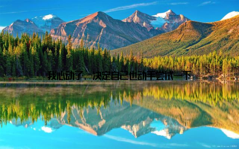 我心动了, 决定自己也动手尝试一下