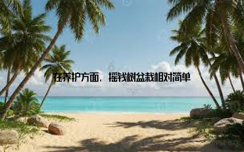 在养护方面, 摇钱树盆栽相对简单
