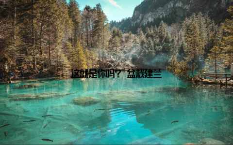 这就是你吗? 盆栽建兰
