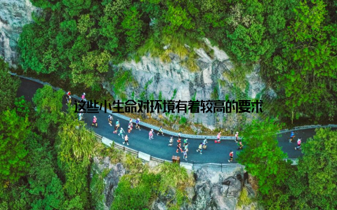 这些小生命对环境有着较高的要求