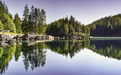 一般来说, 每周浇水一次即可