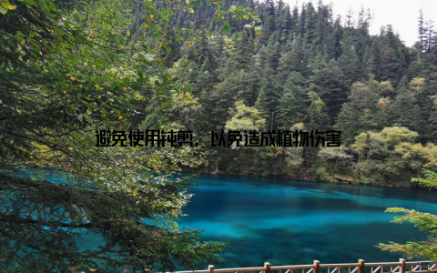 避免使用钝剪, 以免造成植物伤害