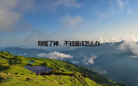 我慌了神, 不知道该怎么办