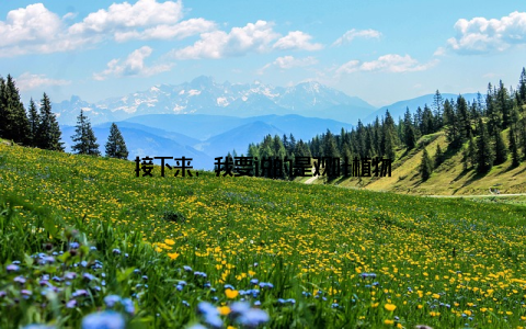 接下来, 我要说的是观叶植物