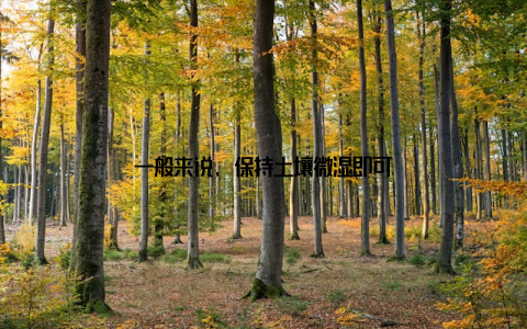 一般来说, 保持土壤微湿即可