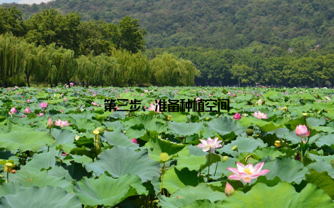 第三步, 准备种植空间