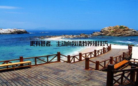 更有甚者, 主动向我请教养殖技巧