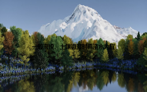 一般来说, 土壤微湿时再浇水为宜