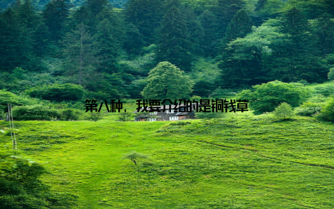 第八种, 我要介绍的是铜钱草