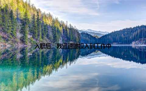 入职后, 我迅速地投入到工作中