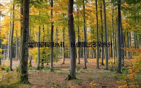 盆底留有排水孔, 以便排出多余水分