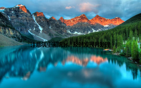 注意病虫害防治, 及时发现并处理