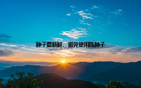 种子要新鲜, 避免使用陈种子