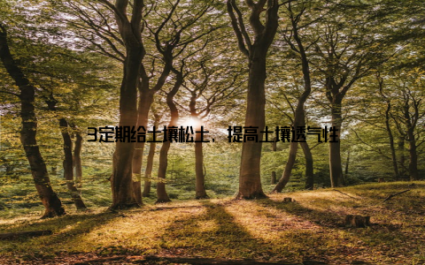 3定期给土壤松土, 提高土壤透气性