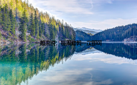 一般来说, 每周修剪一次即可