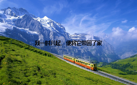 我一时兴起, 便将它带回了家