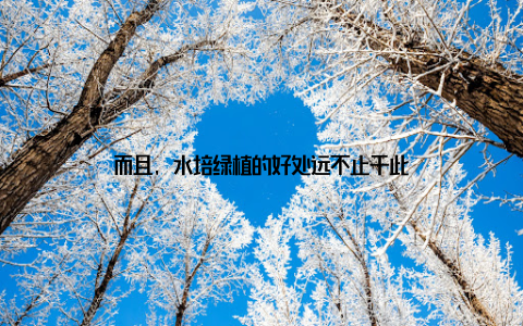 而且, 水培绿植的好处远不止于此