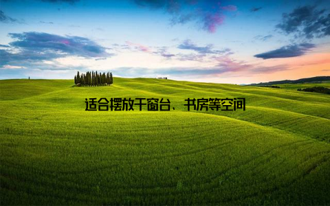 适合摆放于窗台、书房等空间