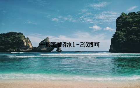 一般每周浇水1-2次即可