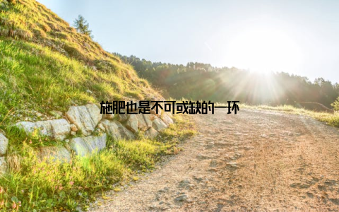 施肥也是不可或缺的一环