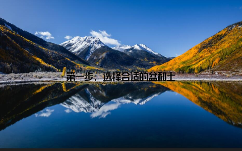 第一步, 选择合适的盆和土