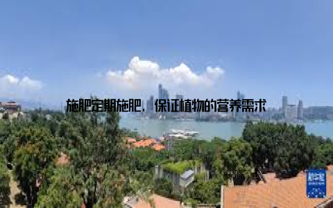 施肥定期施肥, 保证植物的营养需求