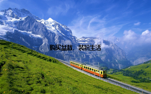 购买盆栽, 装扮生活