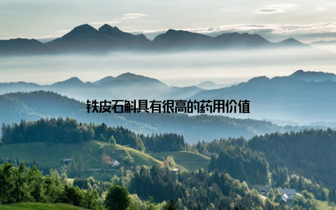 铁皮石斛具有很高的药用价值