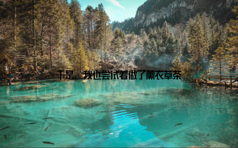 于是, 我也尝试着做了薰衣草茶