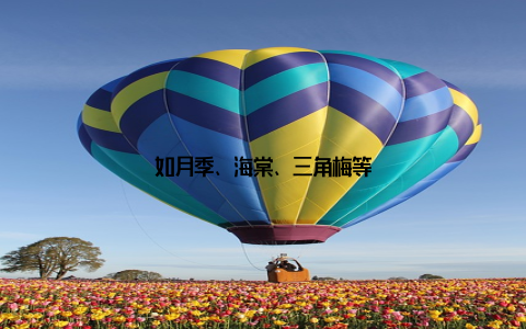 如月季、海棠、三角梅等