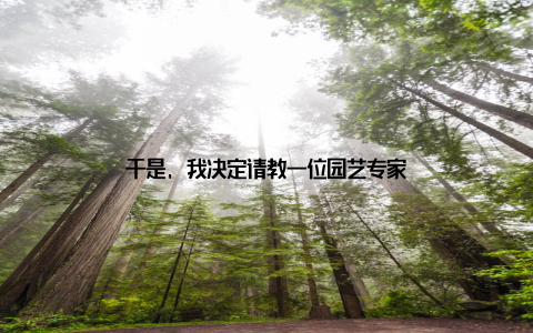 于是, 我决定请教一位园艺专家