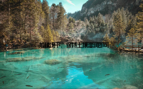 一般情况下, 保持土壤湿润即可