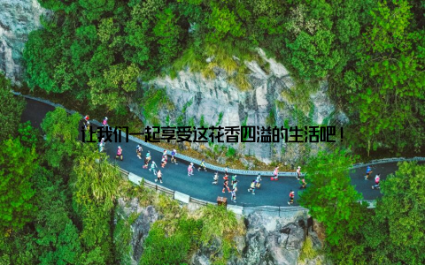 让我们一起享受这花香四溢的生活吧!