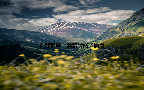 在我家里, 盆栽竹成了焦点
