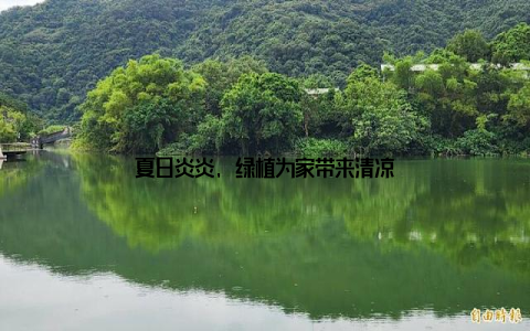 夏日炎炎, 绿植为家带来清凉