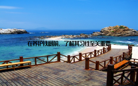 在养护铁树前, 了解其习性至关重要