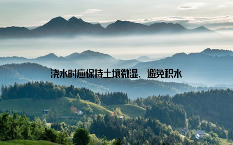 浇水时应保持土壤微湿, 避免积水